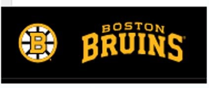 Boston Bruins logo